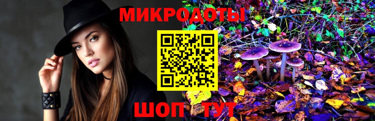 Псилоцибиновые грибы Psilocybine cubensis Гатчина