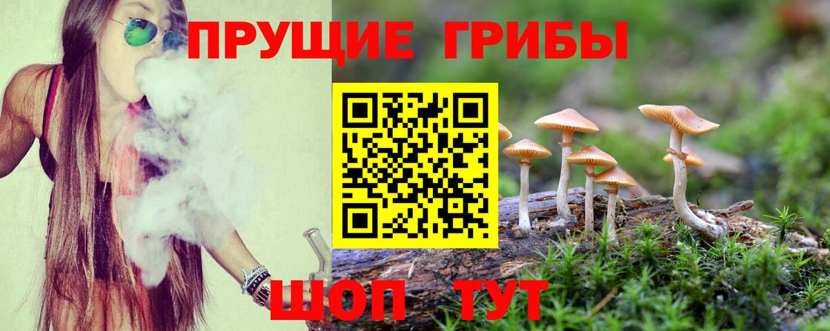 Псилоцибиновые грибы мухоморы  Вход с VPN  Галлюциногенные грибы Psilocybe  Гатчина 